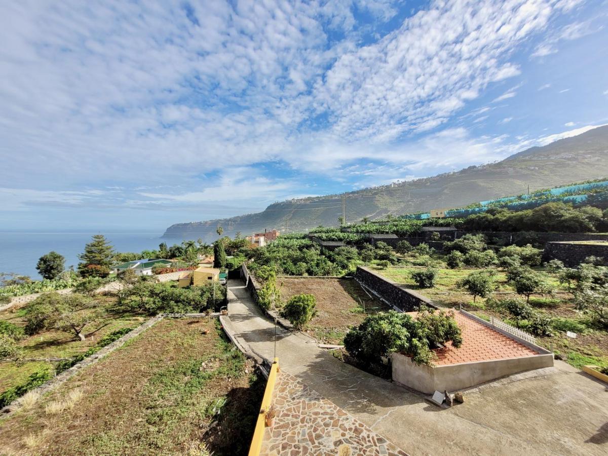 Bollullo Sunset - Araguaney Apartment La Orotava Exterior photo